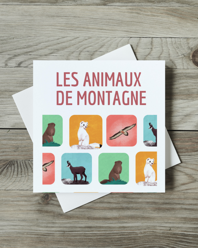 Illustration animaux de montagne Aurore Leprivey