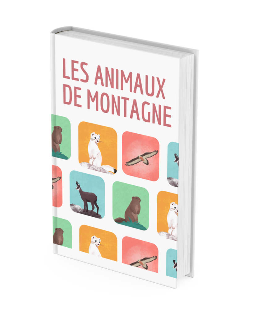 Livre Illustration animaux de montagne Aurore Leprivey