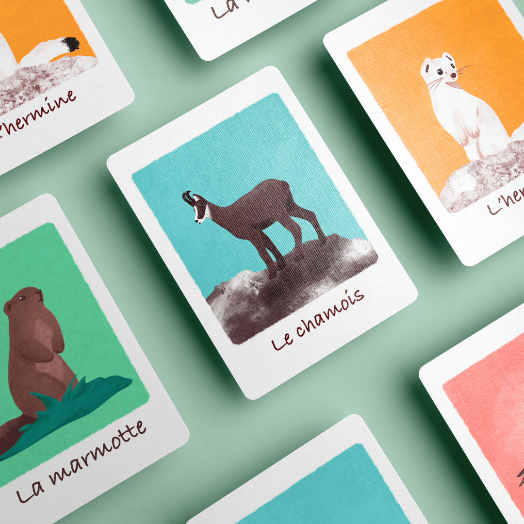 Jeu de carte illustration animaux Aurore Leprivey