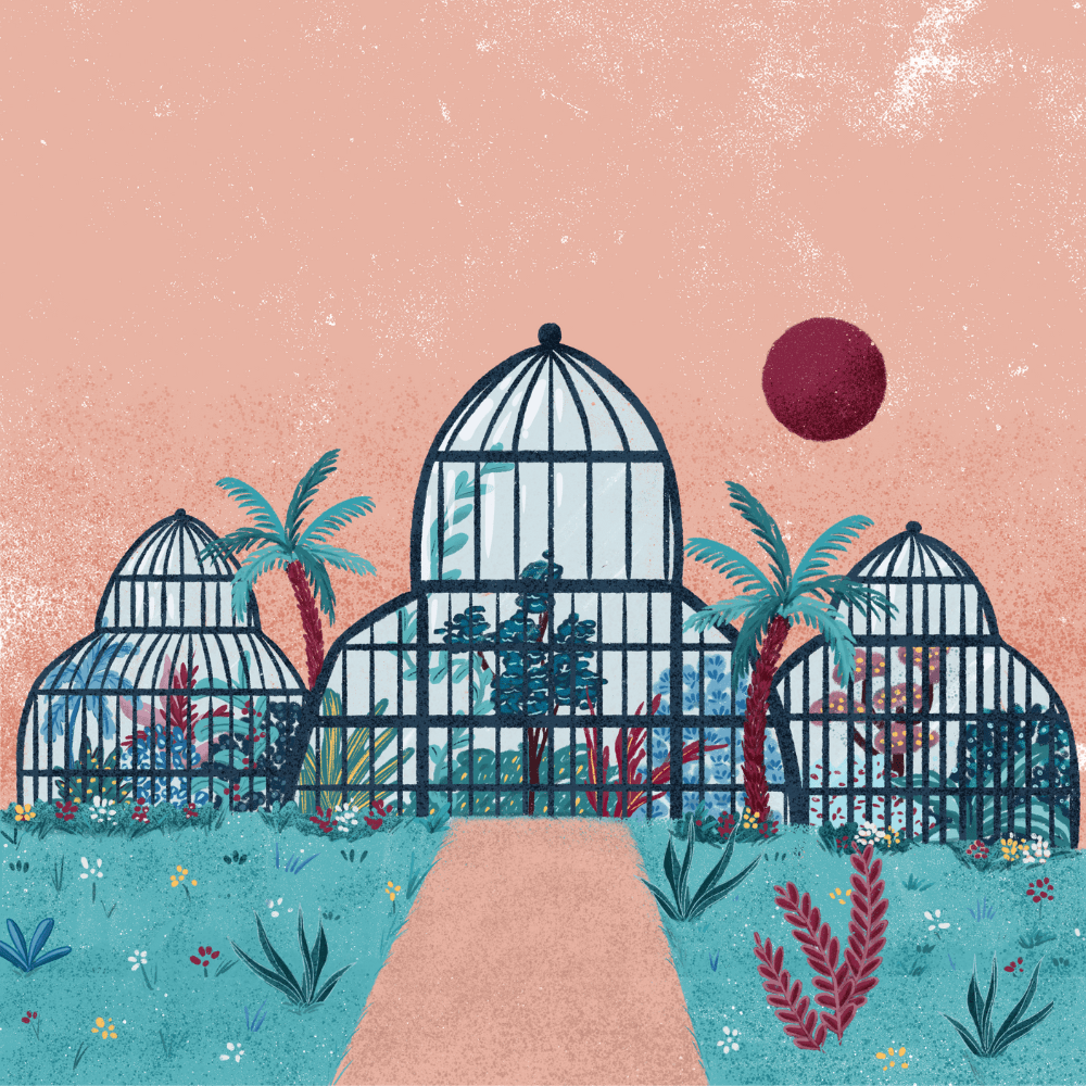 Illustration botanique Parc de la tête d'or | Aurore Leprivey