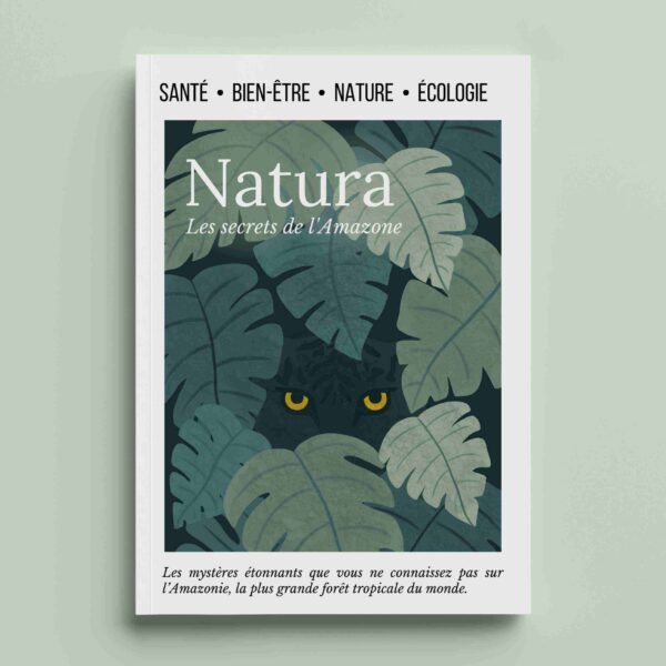 Illustration éditoriale magazine jungle | Aurore Leprivey