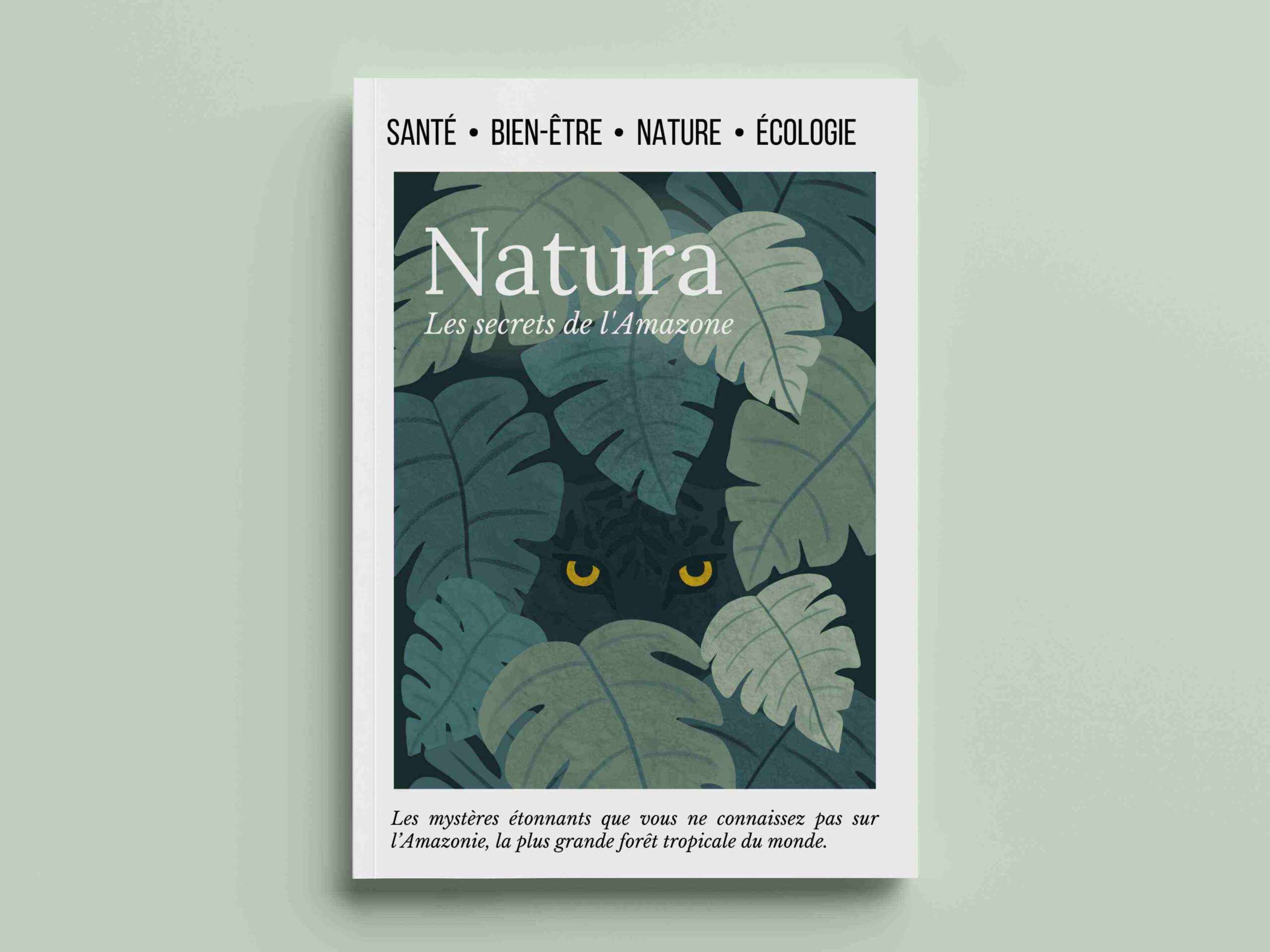 Illustration éditoriale magazine jungle | Aurore Leprivey